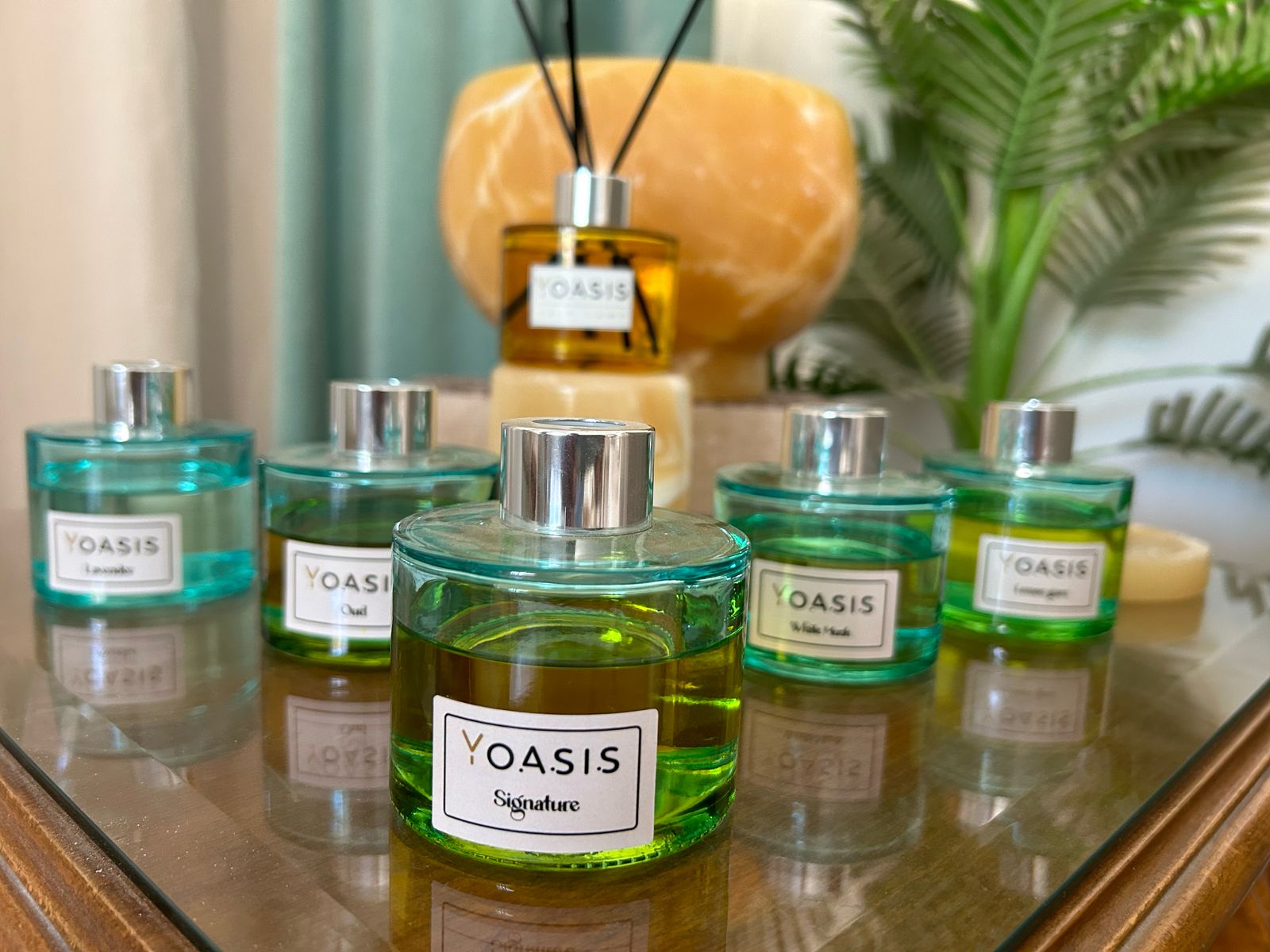 Oasis Diffuser